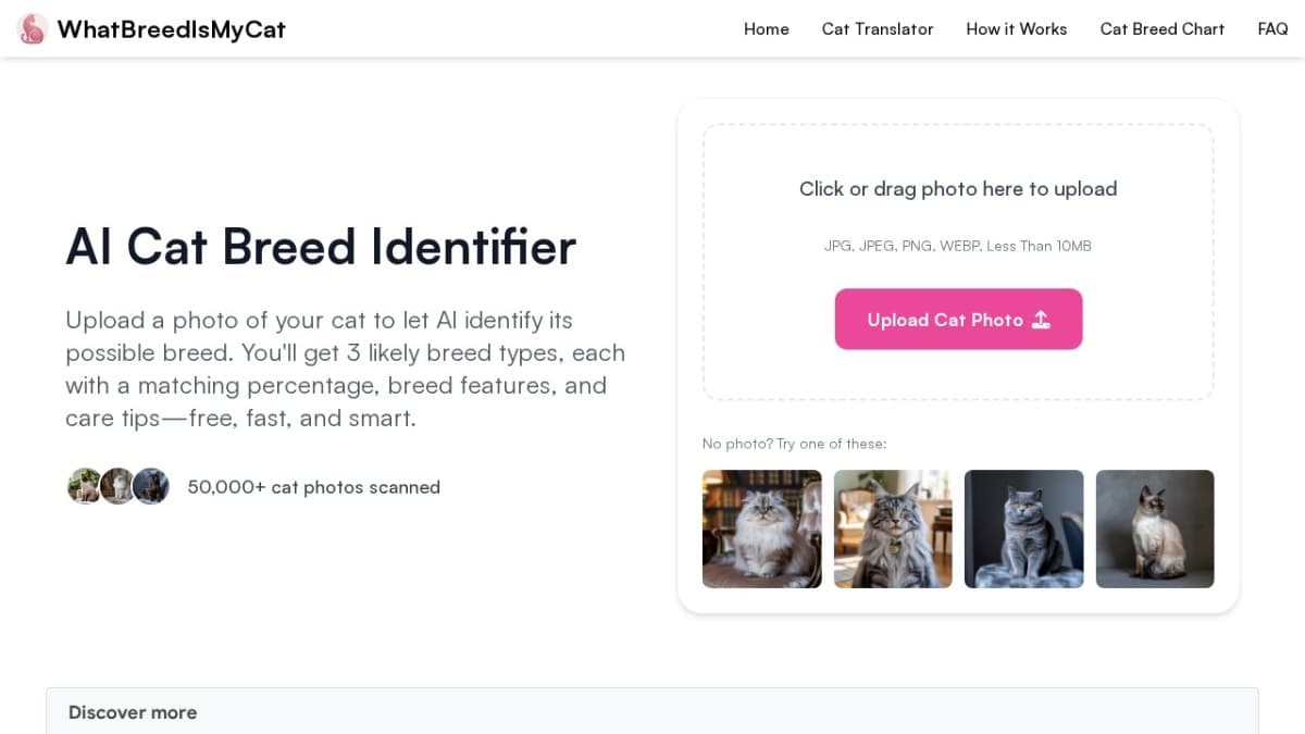 AI Cat Breed Identifier