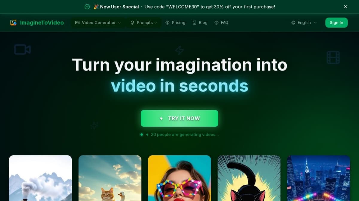 ImagineToVideo